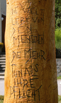 Symposiumsbaum 2005